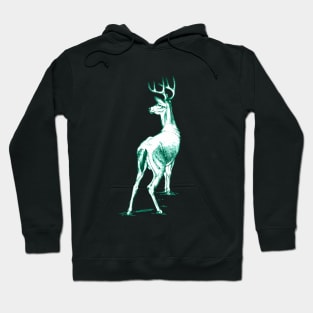 Curious Deer (emerald) Hoodie
